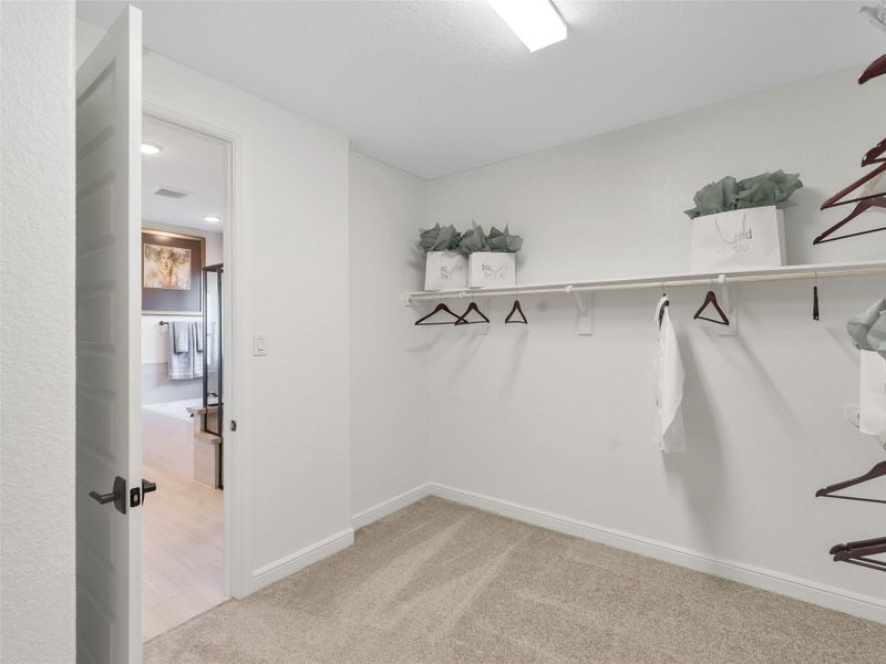 REPRESENTATIVE PHOTO