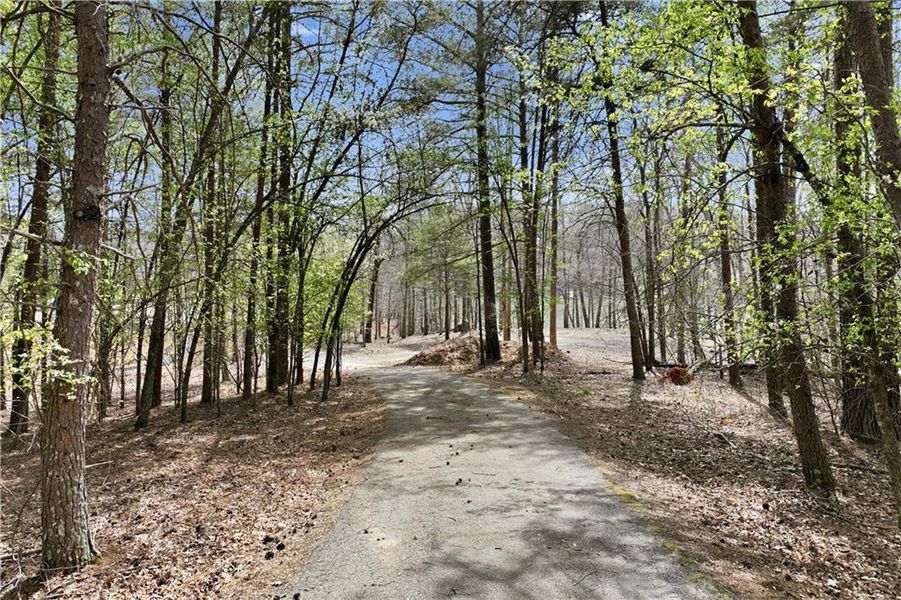 Natural landscape and outdoor views near  in Gainesville (Image 24).