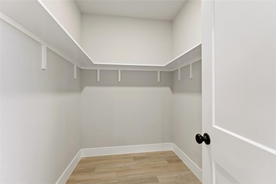 Walk in closet featuring light wood-style floors