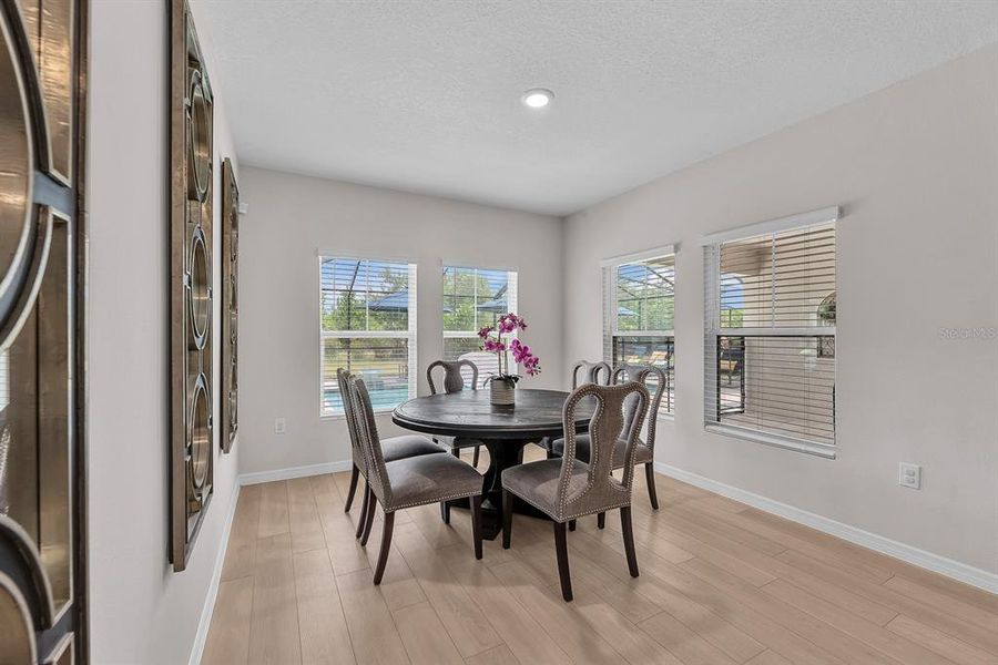 Furnished interior view inside a new home in New Home Communities Near Tampa, Ocala, and Orlando, Florida, Lithia (Image 34).
