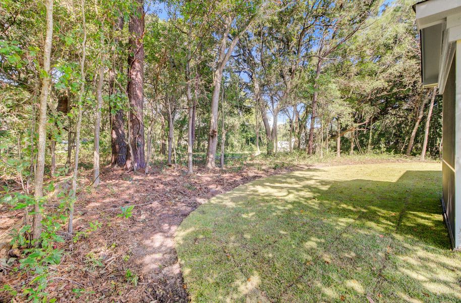 Natural landscape and outdoor views near  in Charleston (Image 32).