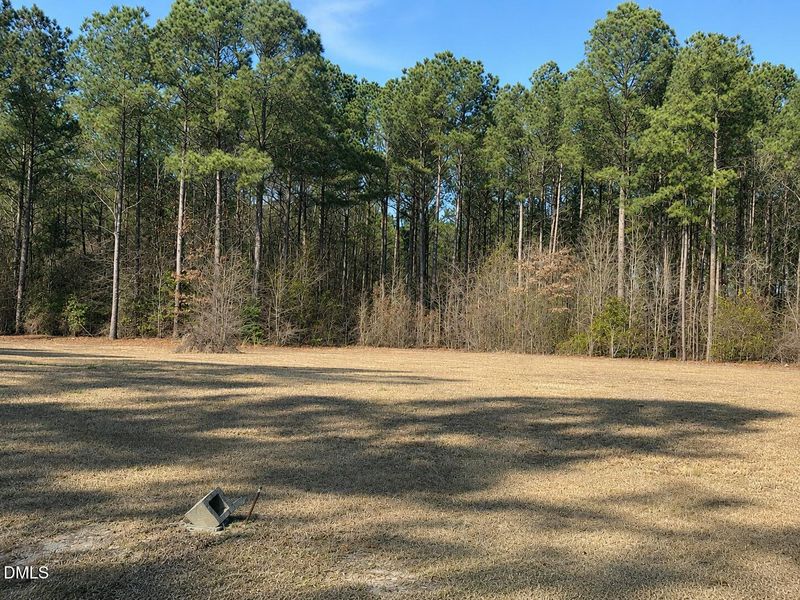 290 R Lot image