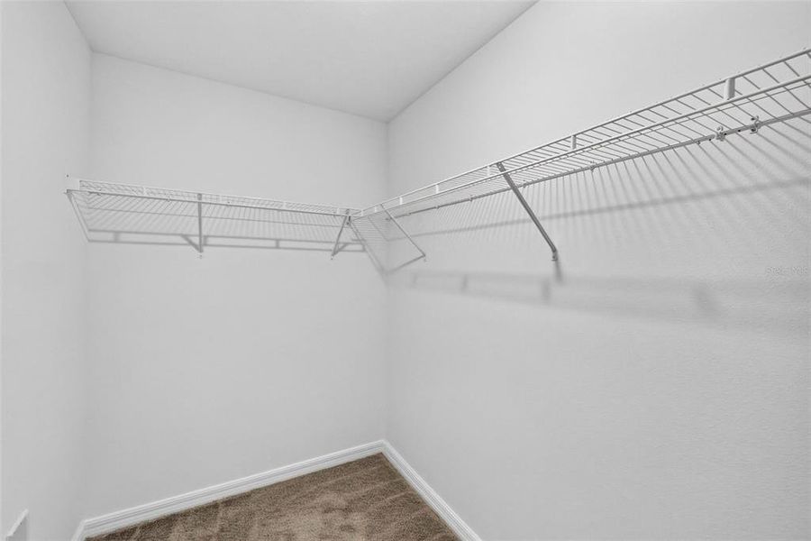 Spacious, unfurnished interior of a new home in , Tampa (Image 49).