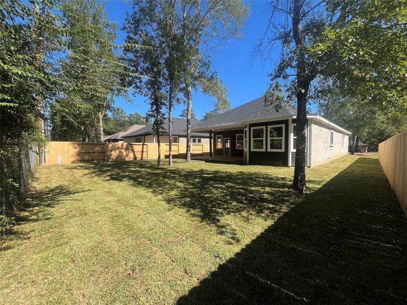 28807 Champion Oak backyard view