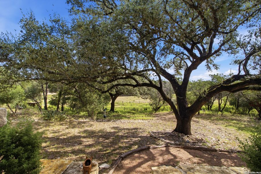 Natural landscape and outdoor views near in Bandera (Image 38). Natural landscape and outdoor views near in Bandera (Image 38).