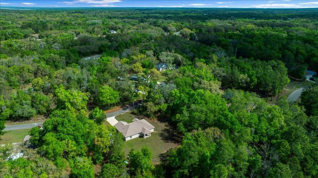 Natural landscape and outdoor views near in Ocklawaha (Image 25). Natural landscape and outdoor views near in Ocklawaha (Image 25).