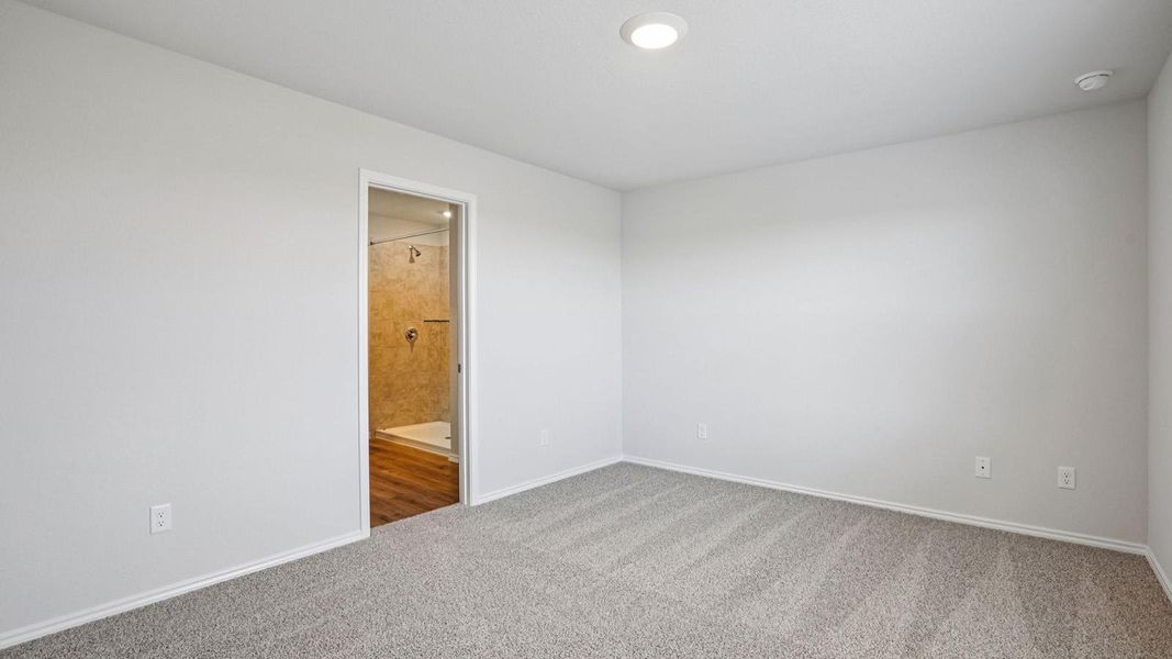 A spacious bedroom with plush carpeting transitions to a bathroom with wood-look flooring and a tiled shower.
