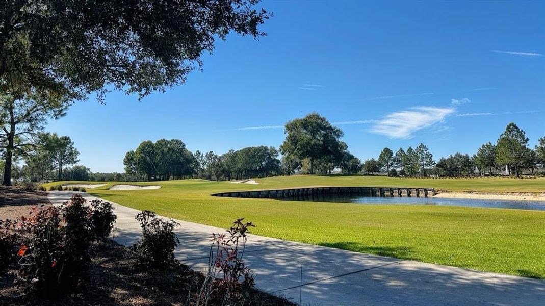 Natural landscape and outdoor views near in Ocala (Image 50). Natural landscape and outdoor views near in Ocala (Image 50).