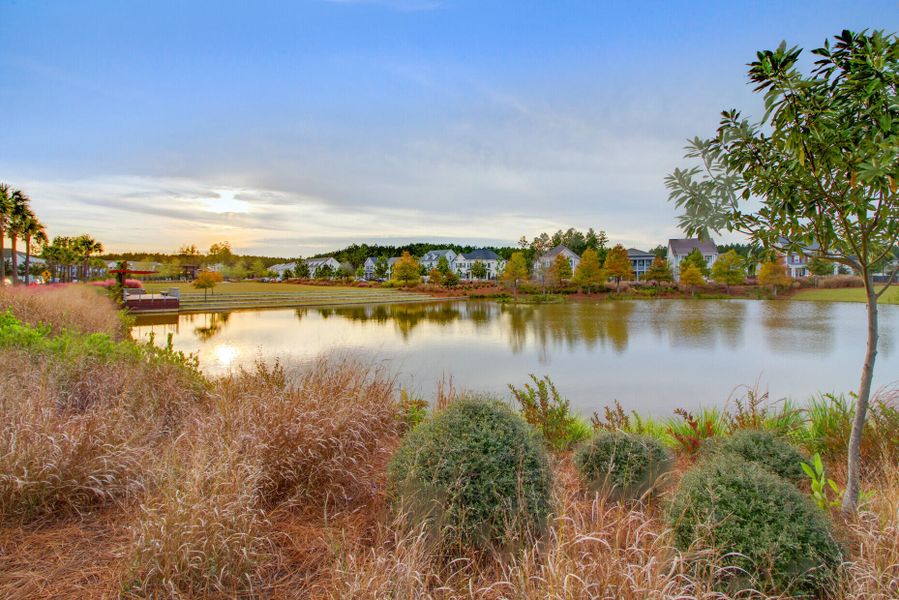 Image 58 of a home in Nexton - Midtown - The Village Collection.