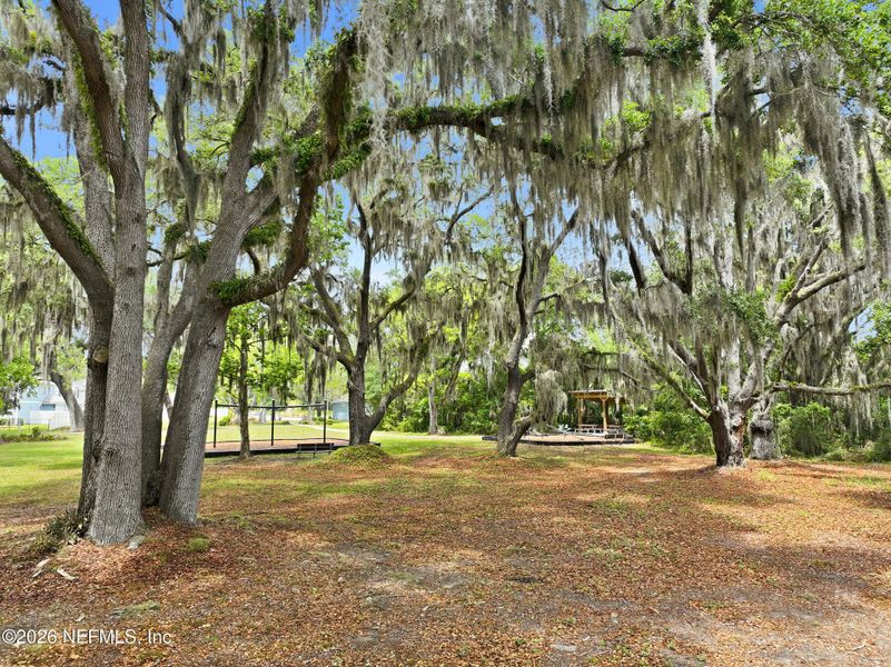 Natural landscape and outdoor views near  in Jacksonville (Image 60).