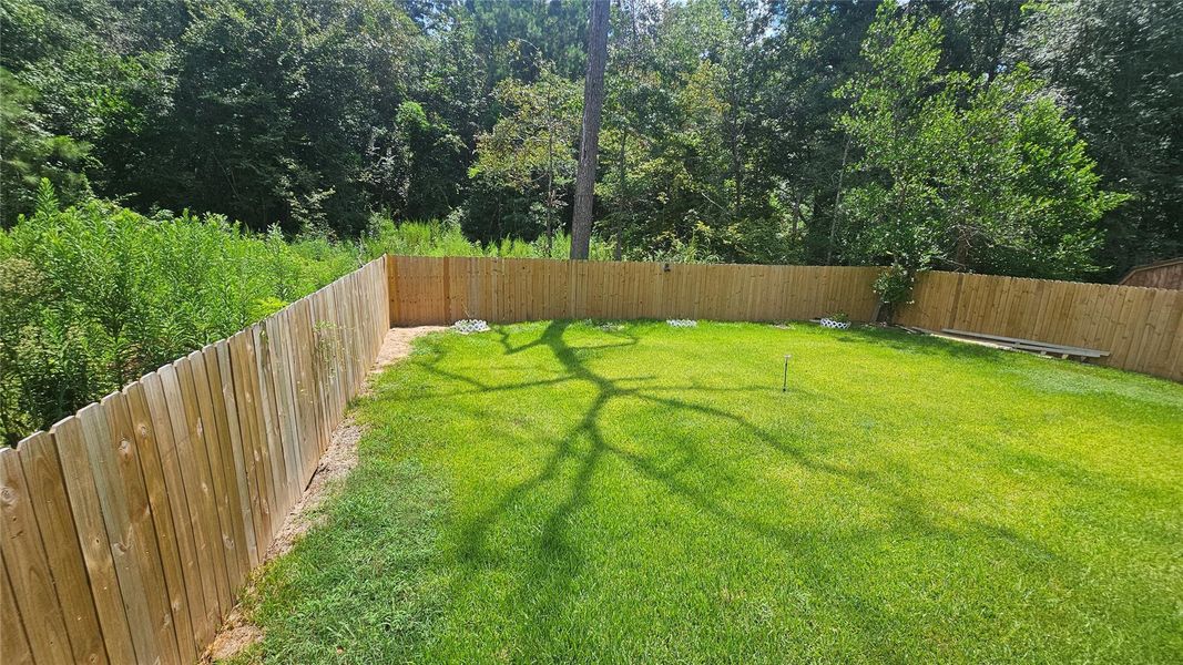 Backyard view