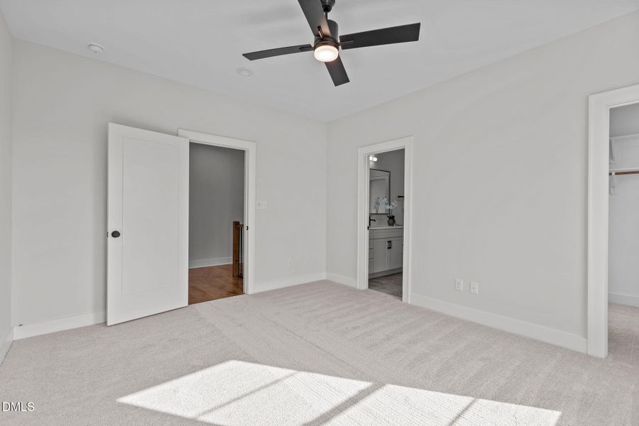 53-web-or-mls-2N6A8032