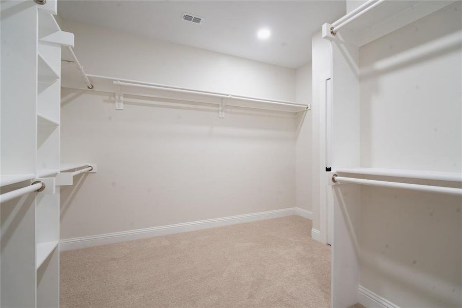 Spacious closet featuring carpet flooring