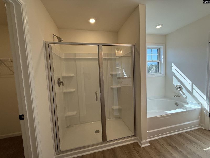 Furnished interior view inside a new home in Dunbar Village, Cayce (Image 14).