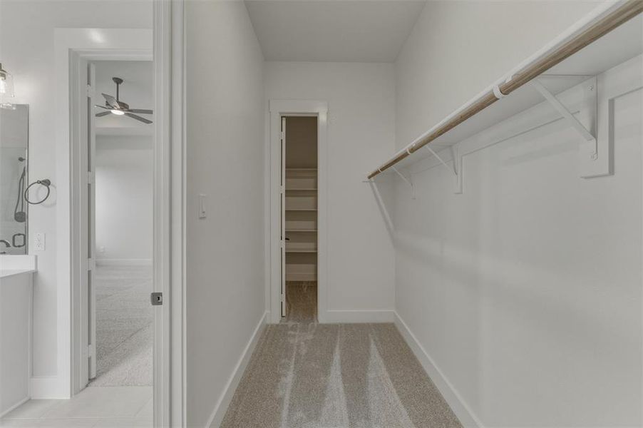 Walk-in closet featuring carpet flooring, a single hanging rod, and shelving Walk-in closet featuring carpet flooring, a single hanging rod, and shelving