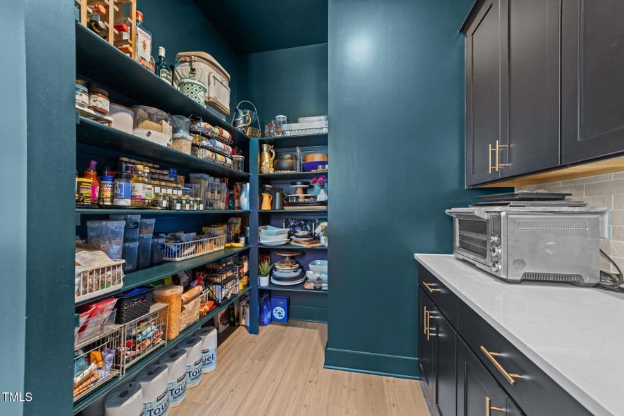 16-web-or-mls-3D5A8219