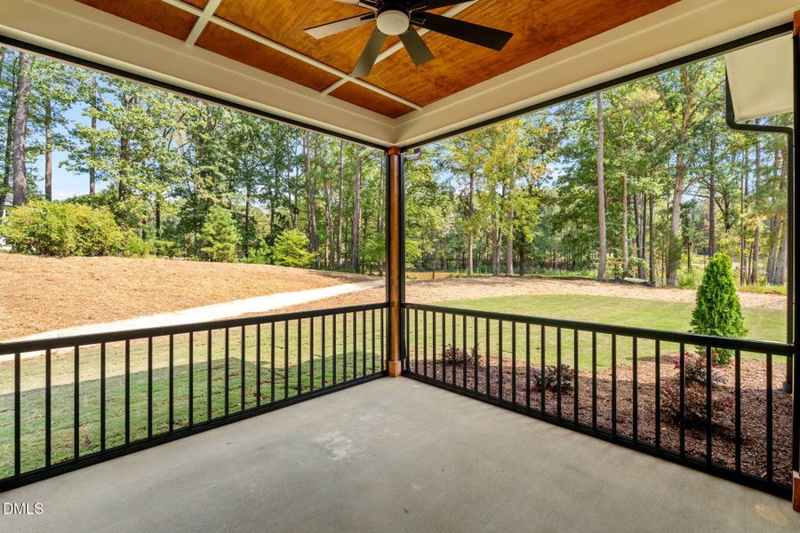 43-web-or-mls-DSC06325