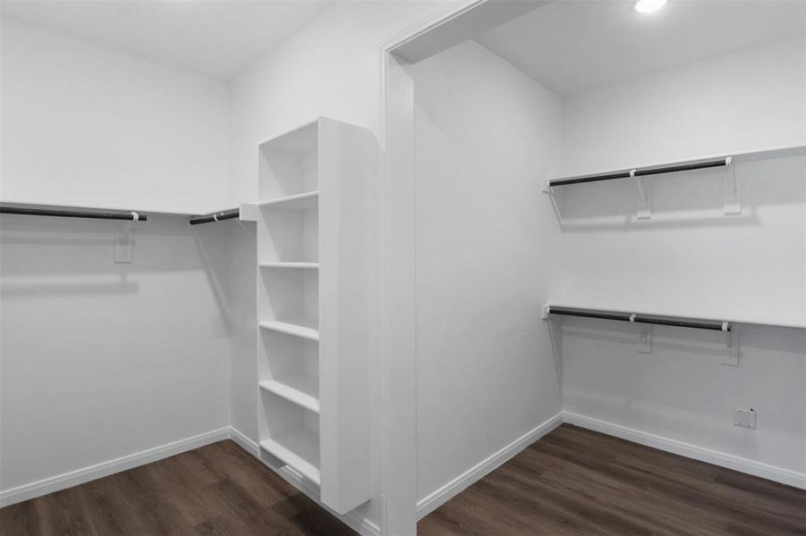 Spacious closet featuring dark hardwood / wood-style flooring