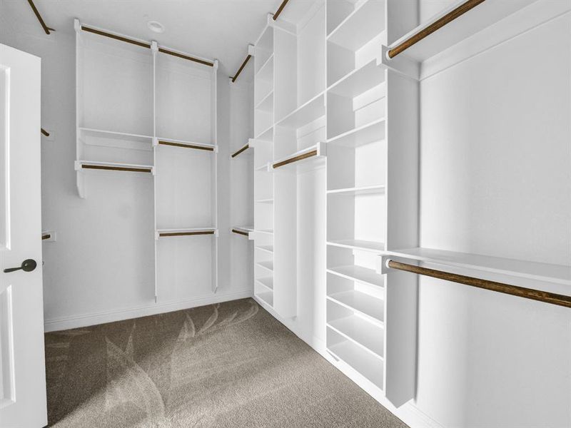 Walk in closet with carpet flooring Walk in closet with carpet flooring