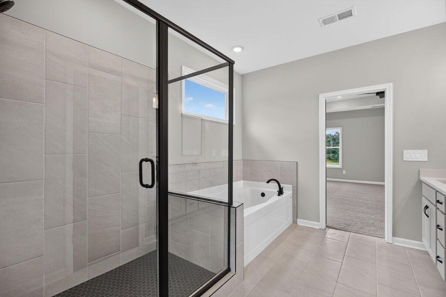 Furnished interior view inside a new home in Blackwelder Bluff, Bowdon (Image 16).