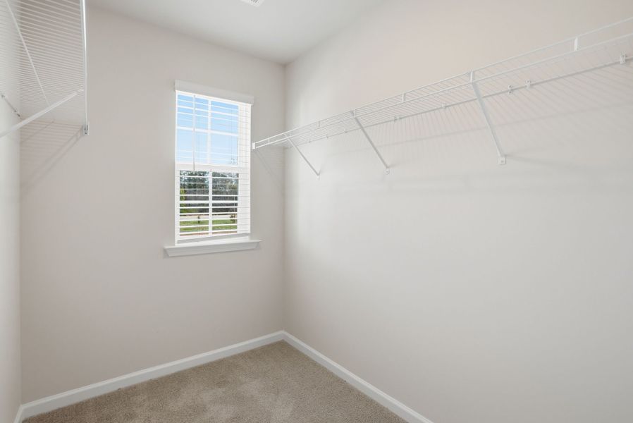 Spacious, unfurnished interior of a new home in Hunters Branch Townhomes, Hopkins (Image 21).