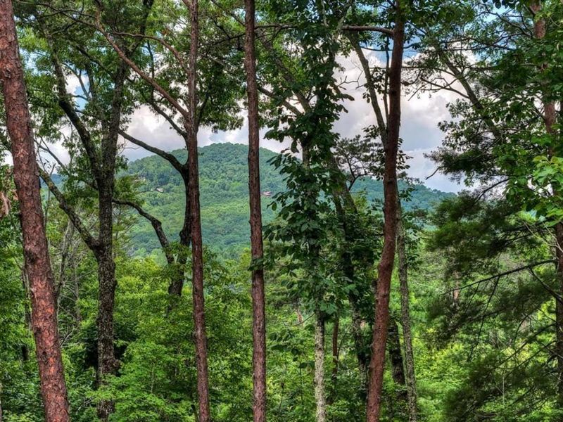 Natural landscape and outdoor views near  in Blue Ridge (Image 28).