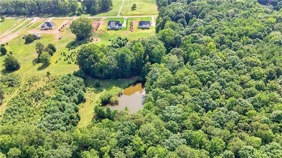 Natural landscape and outdoor views near  in Hampton (Image 45).