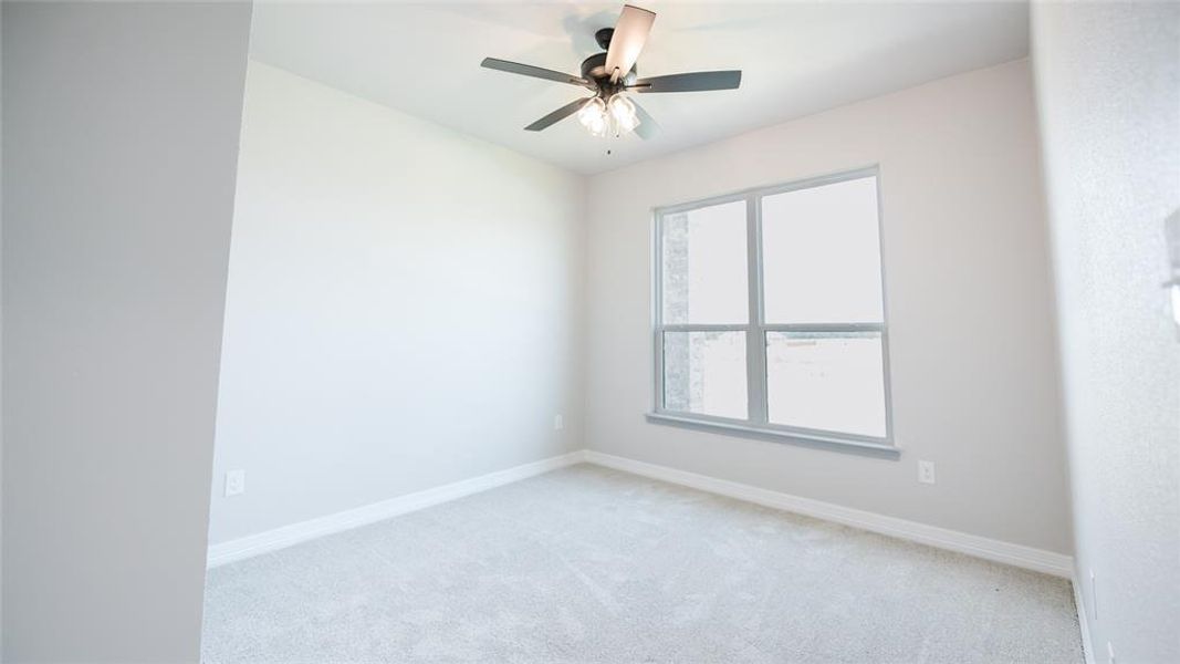 Carpeted empty room with baseboards and a ceiling fan Carpeted empty room with baseboards and a ceiling fan