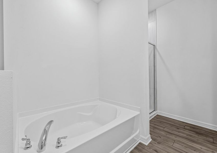 A soaker tub and step-in shower in the master bathroom
