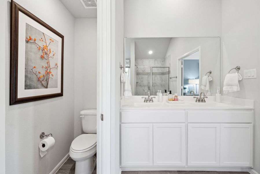 Owner's Bathroom