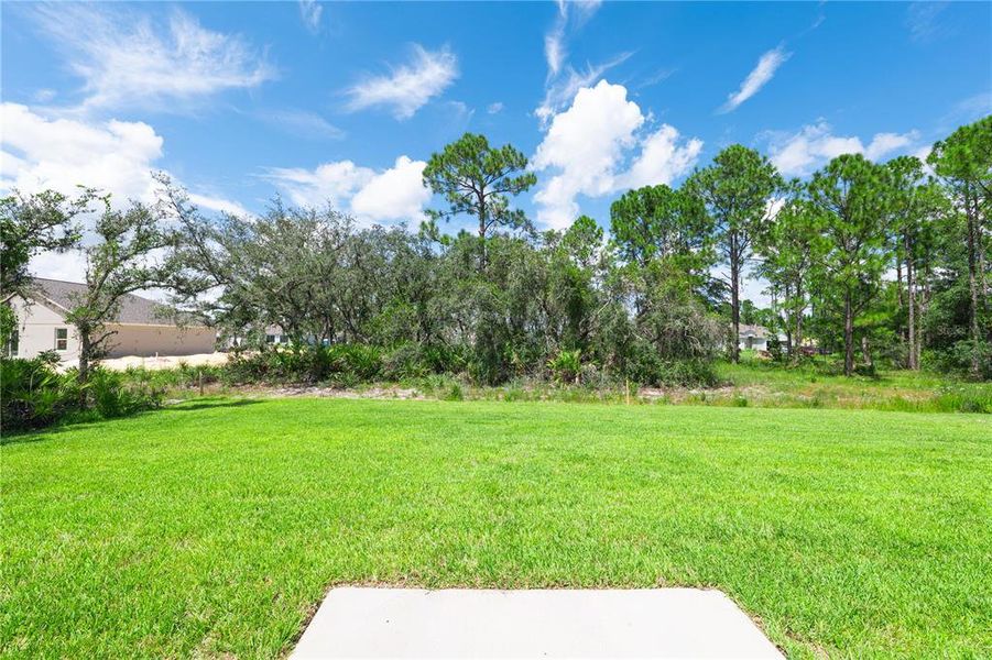 Natural landscape and outdoor views near in Sebring (Image 22). Natural landscape and outdoor views near in Sebring (Image 22).