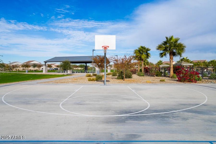 Community Photo Community Photo