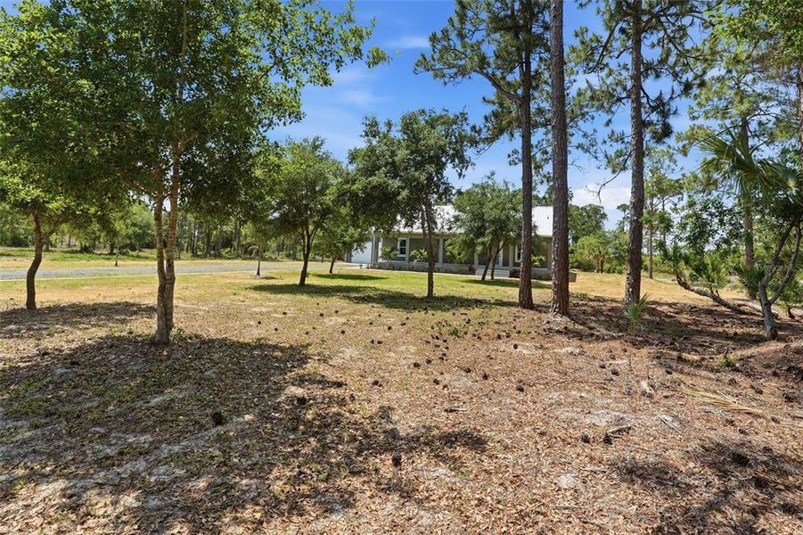 Natural landscape and outdoor views near  in Labelle (Image 40).