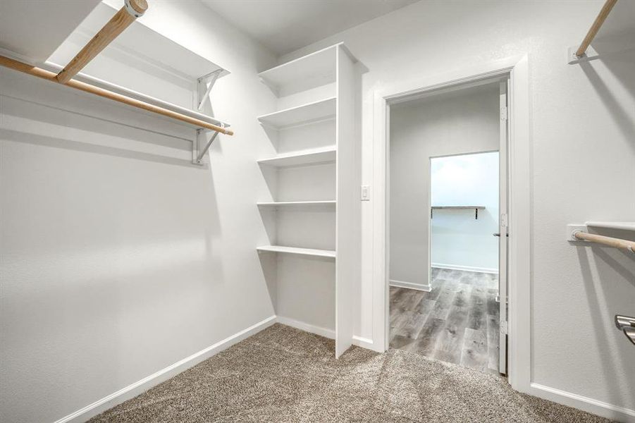 Spacious closet featuring light colored carpet