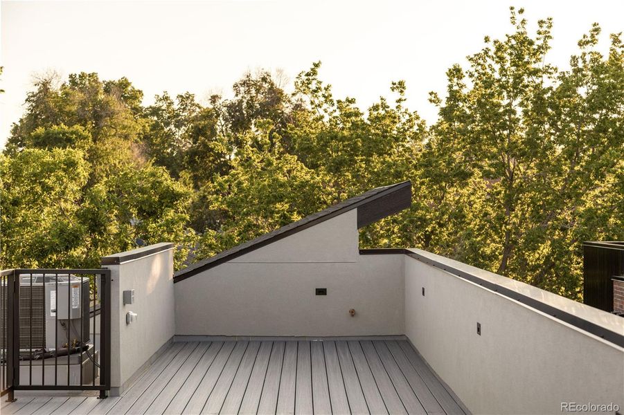 Roof top deck with tree house feel.  Engineered for a Hot Tub!