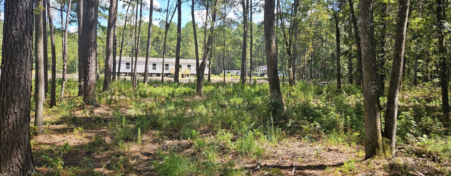Natural landscape and outdoor views near  in Cottageville (Image 14).