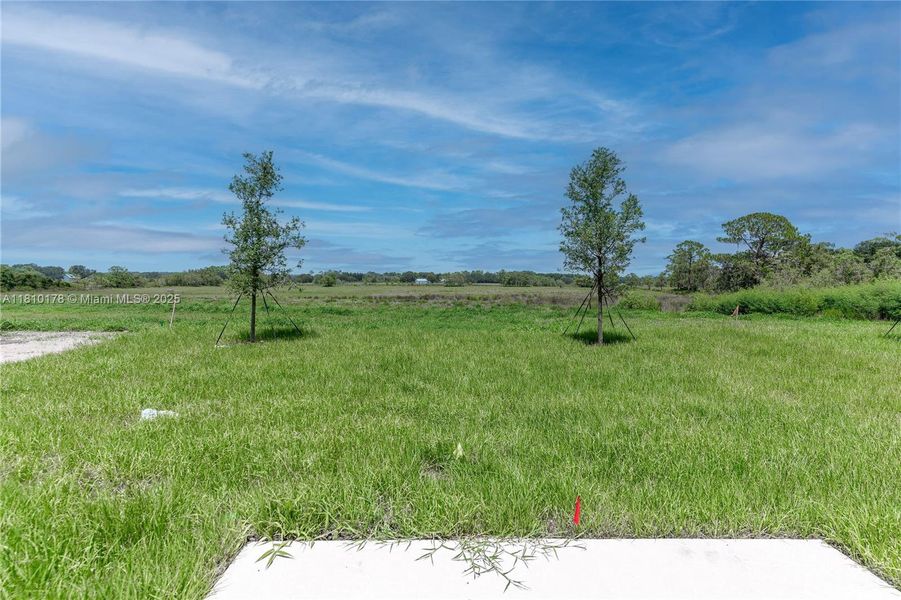 Exterior details and patio area of a home in Inman Groves, Winter Haven (Image 24). Exterior details and patio area of a home in Inman Groves, Winter Haven (Image 24).