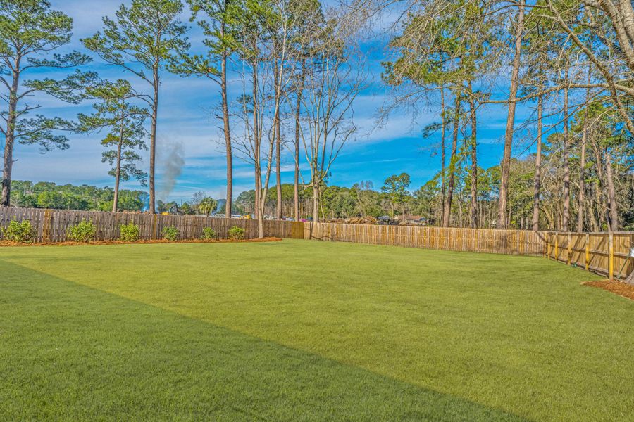 Natural landscape and outdoor views near  in Summerville (Image 21).