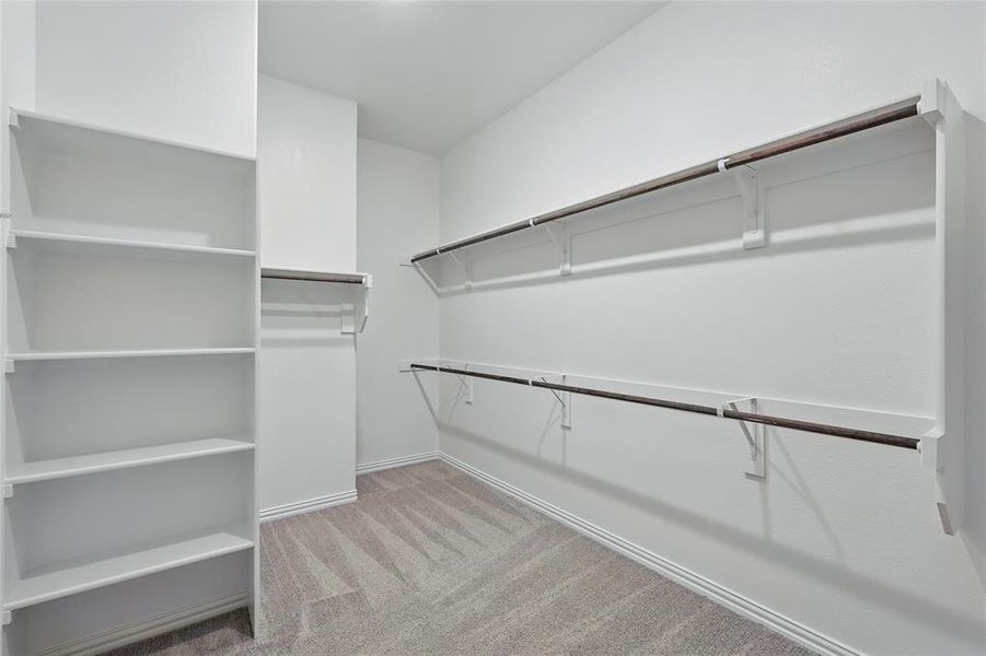 Spacious closet featuring carpet Spacious closet featuring carpet