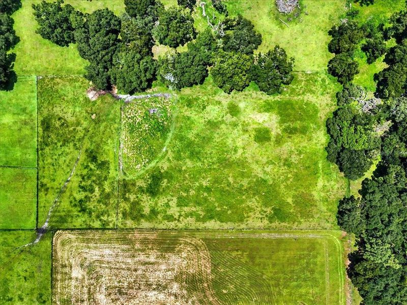 Natural landscape and outdoor views near  in Dade City (Image 8).