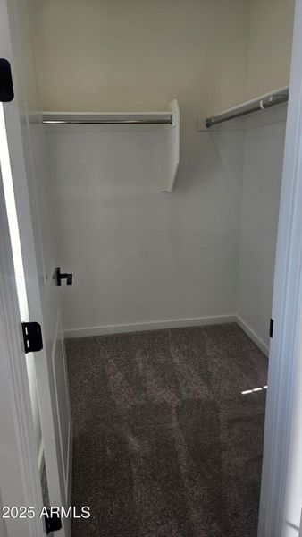 Mason Ranch II Lot 226 Bedroom 3 Walk in