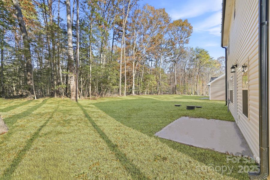 Backyard where acreage awaits!