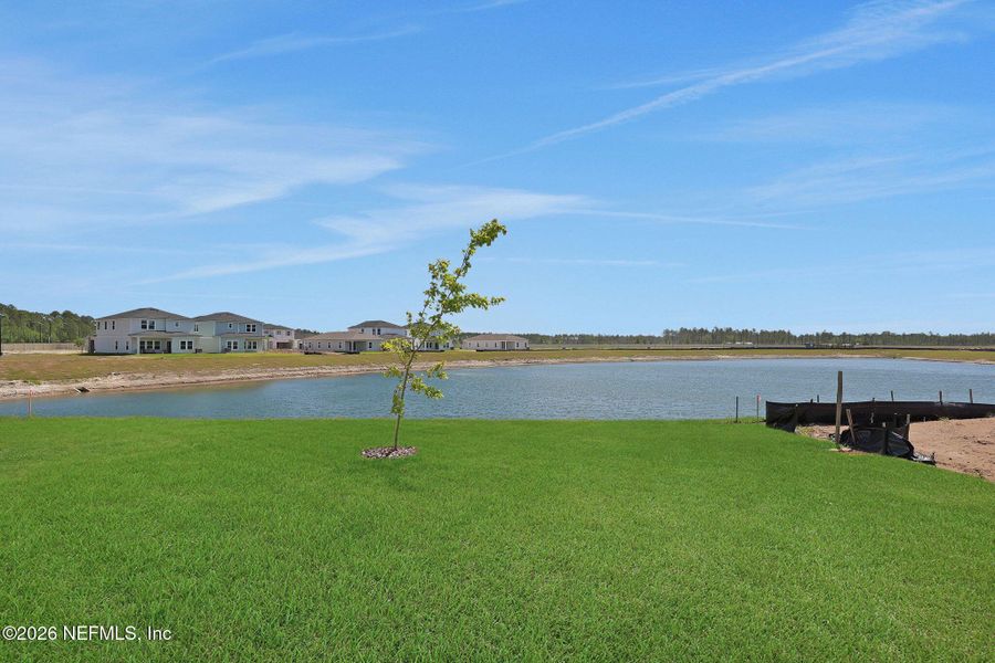 Natural landscape and outdoor views near Diamond Springs in Jacksonville (Image 39).