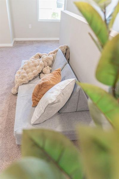 Close-up of interior finishes inside a home in Pasadena Point, Wesley Chapel (Image 20). Close-up of interior finishes inside a home in Pasadena Point, Wesley Chapel (Image 20).