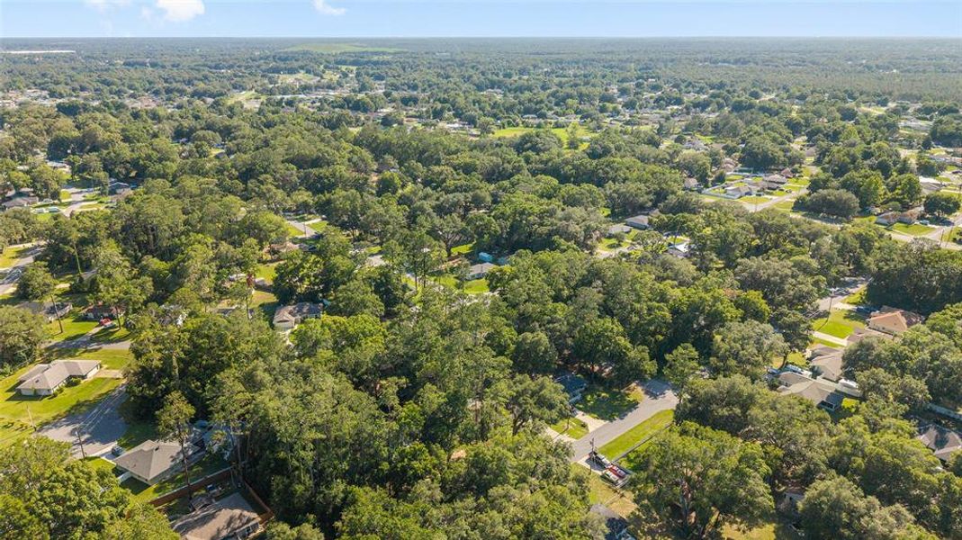 Natural landscape and outdoor views near  in Ocala (Image 37).