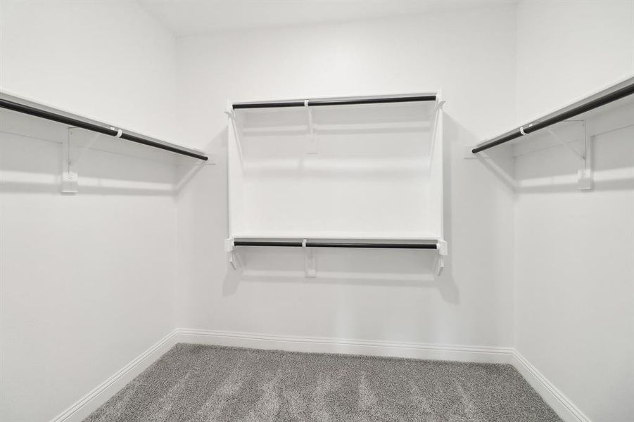 Walk in closet featuring carpet