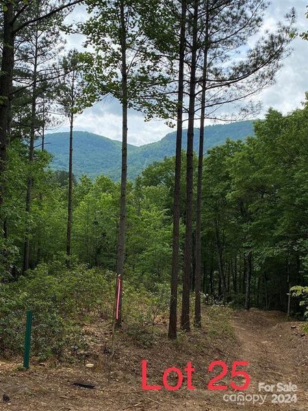 Image 9 of a home in . Image 9 of a home in .