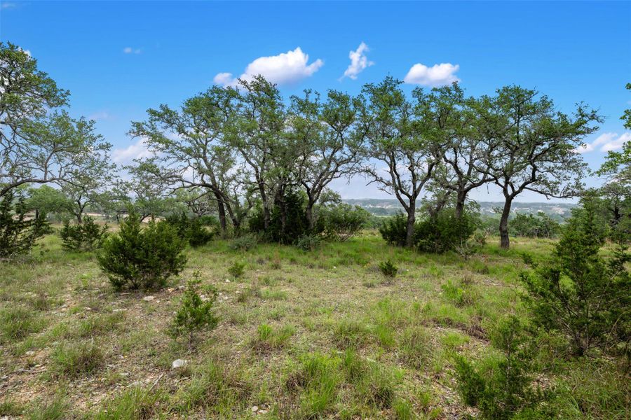 You can see the distant views offered from this bluff lot