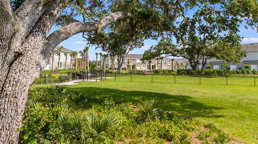 Natural landscape and outdoor views near Vinterra Townhomes in Nokomis (Image 28).