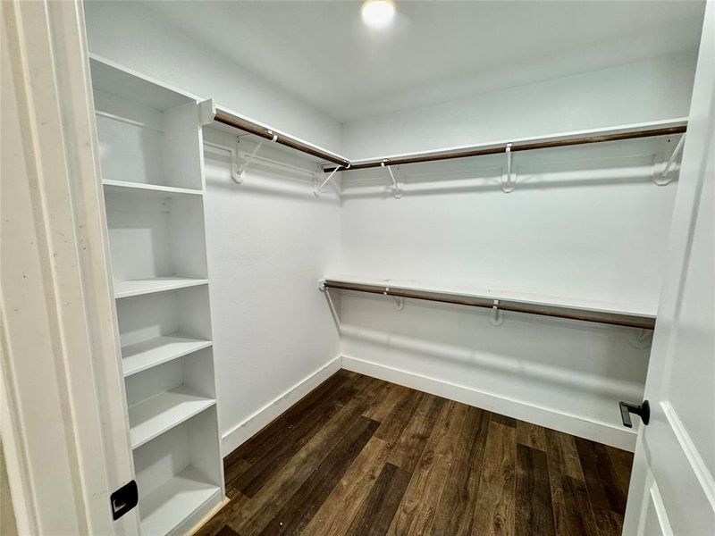 Walk in closet featuring dark wood-type flooring